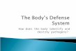 How does the body identify and destroy pathogens?