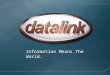 Information Means The World.. Storage: A New Paradigm for Databases Ari Kaplan President, IOUG & Datalink Database Practice akaplan@datalink.com 312-399-0079