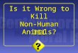 1 III Is it Wrong to Kill Non-Human Animals?. 2 Narveson’s Project Narveson argues that Regan’s claims against Contractarianism fail. Narveson argues