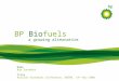 BP Biofuels a growing alternative Name Bob Saunders Title Russian Standards Conference, DBERR, 14 th Nov 2008
