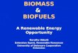BIOMASS & BIOFUELS A Renewable Energy Opportunity Dorothy Abbott Extension Agent, Renewable Resources University of Delaware Cooperative Extension