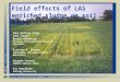 National Environmental Research Institute Department of Terrestrial Ecology SETAC Madrid 2001 Field effects of LAS enriched sludge on soil fauna Paul Henning