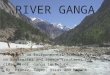 RIVER GANGA A Project on Environmental Science focused on wastewater and sewage treatment for a clean River Ganga in future. -By Pranav, Sagar, Vikas and