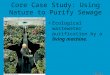 Core Case Study: Using Nature to Purify Sewage Ecological wastewater purification by a living machine. Figure 21-1