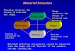 Ken YoussefiSJSU, ME dept. 1 Material Selection Function MaterialShape Process Material selection and process cannot be separated from the shape and the