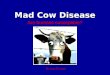Mad Cow Disease Are humans susceptible? By Lacy D Lapio