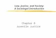 Law, Justice, and Society: A Sociolegal Introduction Chapter 8 Juvenile Justice
