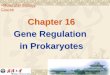 1 Chapter 16 Gene Regulation in Prokaryotes Chapter 16 Gene Regulation in Prokaryotes Molecular Biology Course