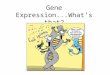 Gene Expression...What’s that?. How do we regulate the expression of our genes?