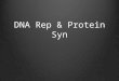 DNA Rep & Protein Syn. 1928 – Griffith Transformation Experiment