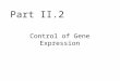 Part II.2 Control of Gene Expression