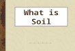 What is Soil. What is SOIL???? The relatively thin surface layer of the Earth’s crust consisting of mineral and organic matter. Soil is not DIRT!
