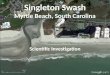 Singleton Swash Myrtle Beach, South Carolina Scientific Investigation