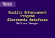 Quality Enhancement Program Electronic-Briefcase Melissa Saenger