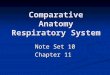Comparative Anatomy Respiratory System Note Set 10 Chapter 11