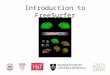 Introduction to FreeSurfer. Overview Format: who, what, where, how, why, when Processing stream run-through Primary themes based on history: – Cortical