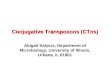 Conjugative Transposons (CTns) Abigail Salyers, Department of Microbiology, University of Illinois, Urbana, IL 61801