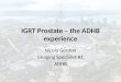 IGRT Prostate – the ADHB experience Nicola Gordon Imaging Specialist RT ADHB