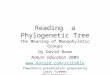 Reading a Phylogenetic Tree The Meaning of Monophyletic Groups by David Baum Nature Education 2008  PowerPoint presentation prepared