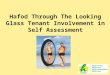 Hafod Through The Looking Glass Tenant Involvement in Self Assessment