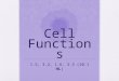 Cell Functions 1.5, 3.2, 1.6, 3.3 (10.1 HL). 1.5 Origins of cells How do we know where cells come from?