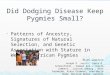 Did Dodging Disease Keep Pygmies Small?  Patterns of Ancestry, Signatures of Natural Selection, and Genetic Association with Stature in Western African