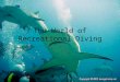The World of Recreational Diving. SCUBA is an acronym for the S______ C______ U________ B________ A________ invented by Cousteau. Diver certification