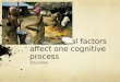 How cultural factors affect one cognitive process Education