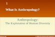 McGraw-Hill © 2005 The McGraw-Hill Companies, Inc. 1 1 What Is Anthropology? Anthropology: The Exploration of Human Diversity