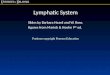Lymphatic System Slides by Barbara Heard and W. Rose. figures from Marieb & Hoehn 9 th ed. Portions copyright Pearson Education
