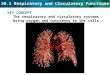 30.1 Respiratory and Circulatory Functions KEY CONCEPT The respiratory and circulatory systems bring oxygen and nutrients to the cells