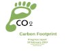 Carbon Footprint Progress report 18 February 2010 IRENE COUNTRY LODGE Rudi Pretorius