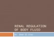 RENAL REGULATION OF BODY FLUID Dr. Eman El Eter. What is the impact of the following on your body fluid volume and osmolarity?  What happens when you
