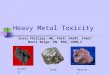 Heavy Metal Toxicity Scott Phillips, MD, FACP, FACMT, FAACT Marci Balge, RN, MSN, COHN-S Mercury Arsenic Lead