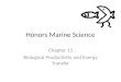 Honors Marine Science Chapter 13 Biological Productivity and Energy Transfer