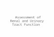 Assessment of Renal and Urinary Tract Function. Renal and Urinary Systems Function to maintain the body’s state of homeostasis by regulating fluid and