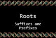 Roots Suffixes and Prefixes. What is a Prefix A prefix is placed at the beginning of a word to modify or change its meaning