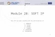 Ip4inno 1 Module 2B: SOFT IP This PPT has been created with the participation of: L. BIRKETT G. COLAK A. KAVAK K. TAUBER A. DINTRICH G. FRIEDRICH