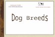 DOG BREEDS It is estimated that there are over 500 different dog breeds in the world. Two organizations which promote breed standards are the AKC (American