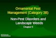 MSU Extension Pesticide Education Ornamental Pest Management (Category 3B) Non-Pest Disorders and Landscape Weeds Chapter 5