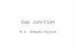Gap Junction M.A. Ahmadi-Pajouh. Non Synaptic Cell-Cell Junctions: –Intermediate Junction –Desmosome –Gap Junction: Local circuit current Depolarization