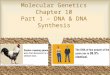 Molecular Genetics Chapter 10 Part 1 – DNA & DNA Synthesis