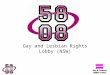 Gay and Lesbian Rights Lobby (NSW). Overview of Presentation Campaign background and context Elements of the campaign Campaign strengths Campaign limitations