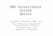 DBV Surveillance System Belize Englebert Emmanuel MHM, Bsc. Ag. Director & National Surveillance Officer Epidemiology Unit Ministry of Health