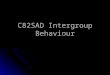 C82SAD Intergroup Behaviour. What is Intergroup Behaviour? Intergroup behaviour is “any perception, cognition, or behaviour that is influenced by people’s