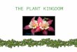 THE PLANT KINGDOM. All plants: Are Multicellular Are Autotrophic – photosynthetic Have cell walls with cellulose (that polysaccharide that we can’t digest