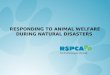 RESPONDING TO ANIMAL WELFARE DURING NATURAL DISASTERS