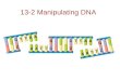 13-2 Manipulating DNA. The Tools of Molecular Biology –How do scientists make changes to DNA? The Tools of Molecular Biology