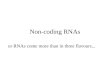 Non-coding RNAs or RNAs come more than in three flavours