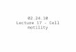 02.24.10 Lecture 17 - Cell motility. The Range of Cell Movement Velocities of moving cells span more than 4 orders of magnitude Each cell has evolved